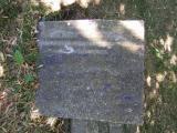 image of grave number 737134
